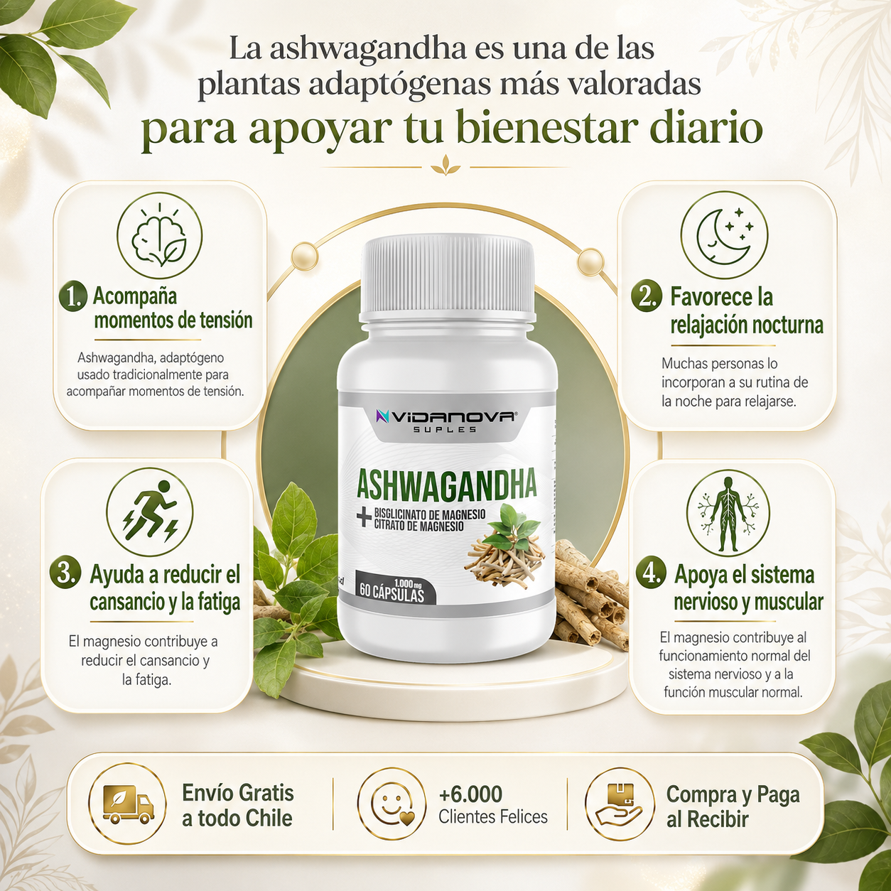 Ashwagandha + Magnesio 1000mg 60 CAPS